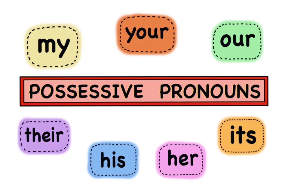 Đại từ sở hữu (Possessive Pronouns): Phân loại, cách dùng, bài tập
