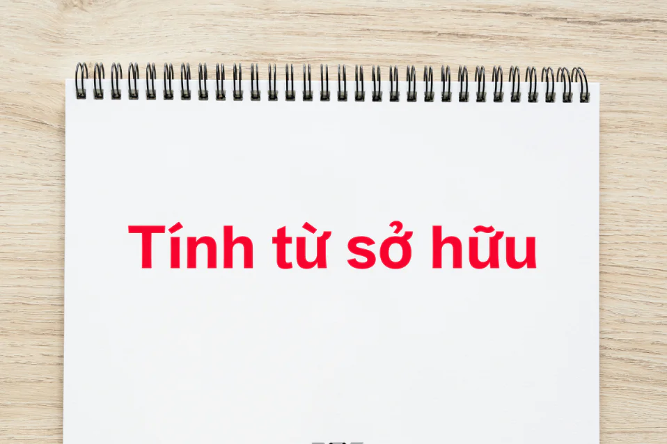 Tính từ sở hữu (Possessive adjectives): Khái niệm & cách dùng