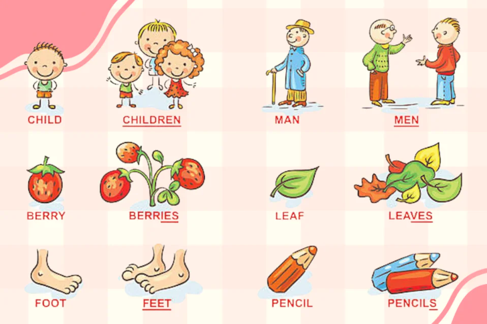 Danh từ bất quy tắc là gì? Top 30 danh từ bạn nên thuộc lòng