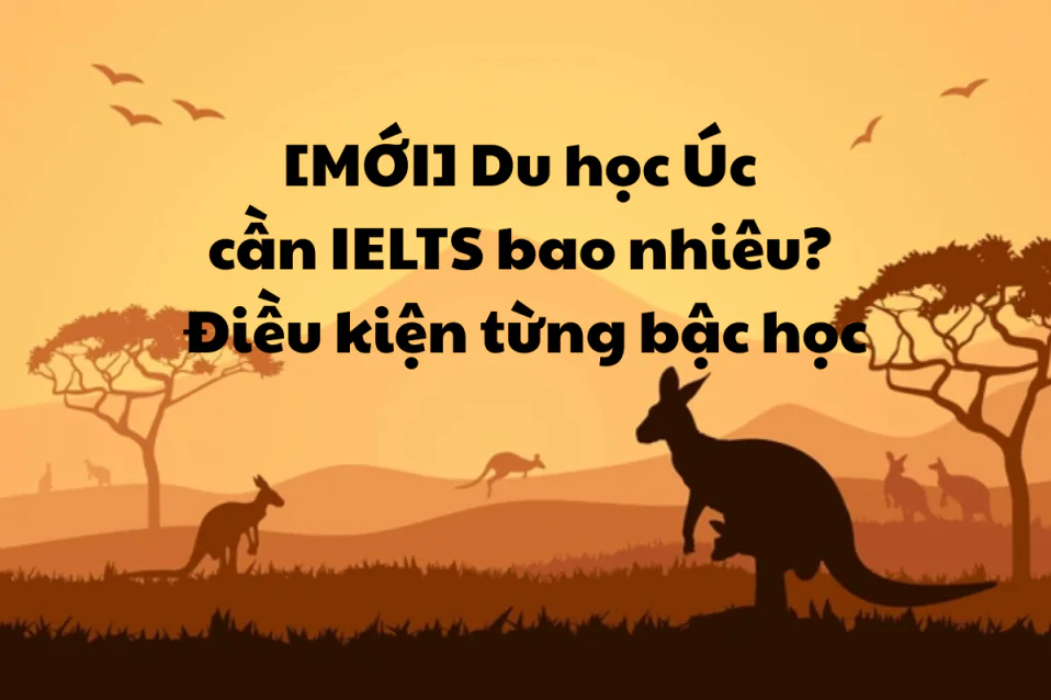 [MỚI] Du học Úc cần IELTS bao nhiêu? Điều kiện từng bậc học