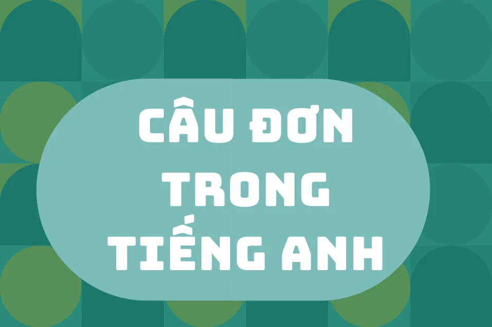Câu đơn trong tiếng Anh: Cấu trúc và cách dùng