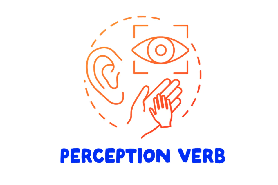 Động từ tri giác (Perception Verbs): Cấu trúc, cách sử dụng và bài tập