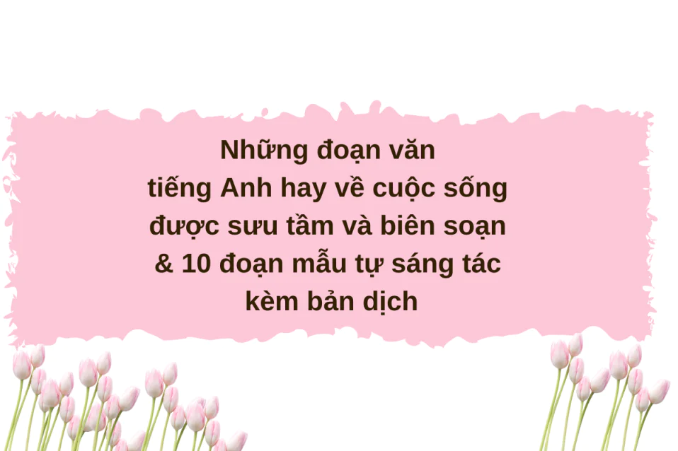 Những đoạn văn tiếng Anh hay về cuộc sống được sưu tầm và sáng tác